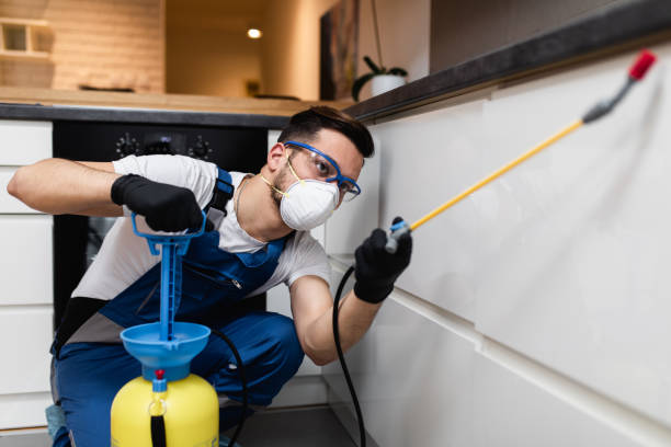 Best Local Pest Control Services  in Deer Park, NY