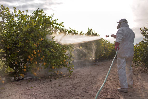 Best Pest Control for Homes  in Deer Park, NY