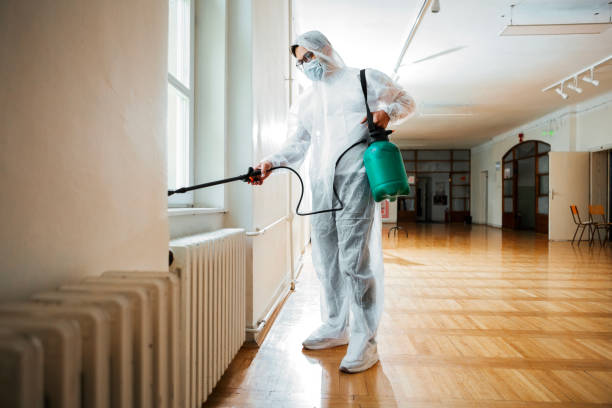 Best Wasp Removal Services  in Deer Park, NY